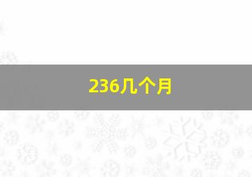 236几个月