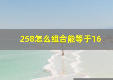 258怎么组合能等于16