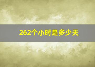 262个小时是多少天