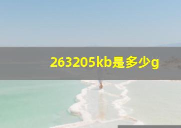 263205kb是多少g