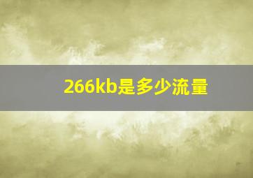 266kb是多少流量