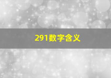 291数字含义