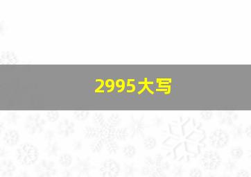 2995大写