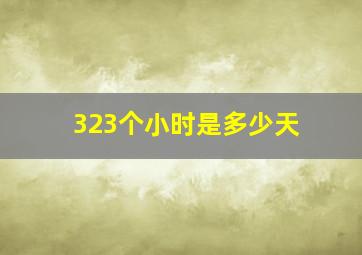 323个小时是多少天