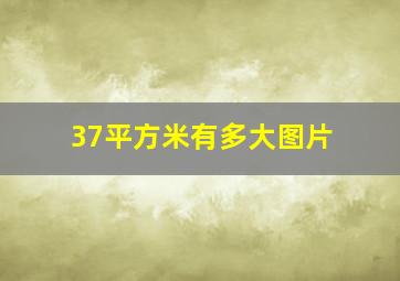 37平方米有多大图片