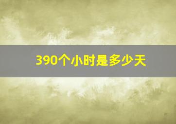 390个小时是多少天