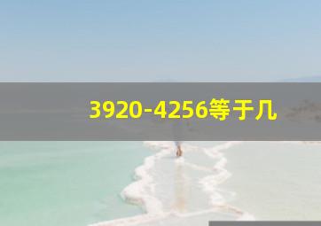 3920-4256等于几