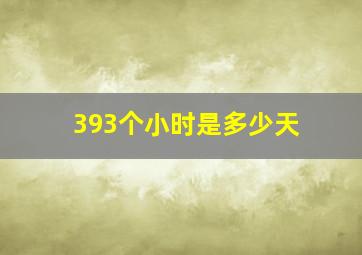 393个小时是多少天