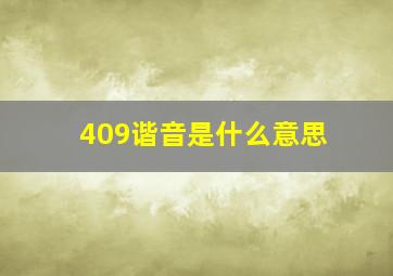 409谐音是什么意思