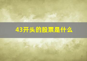 43开头的股票是什么