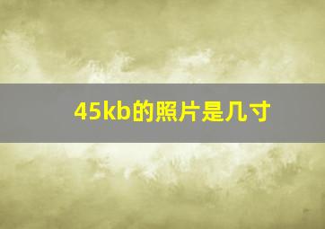 45kb的照片是几寸