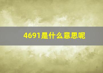 4691是什么意思呢