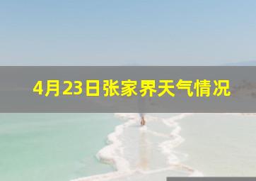 4月23日张家界天气情况