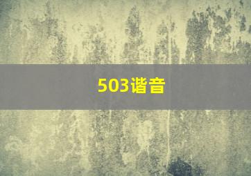 503谐音