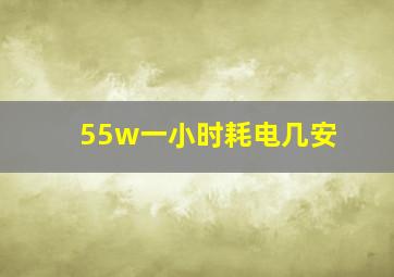 55w一小时耗电几安