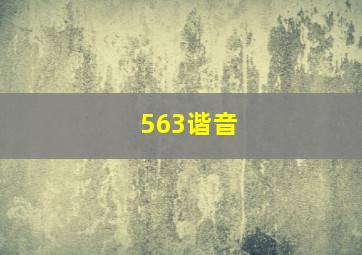 563谐音