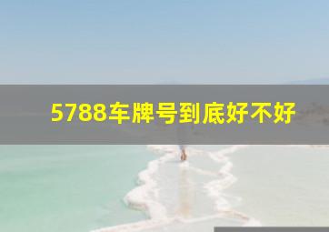 5788车牌号到底好不好