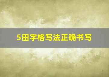 5田字格写法正确书写