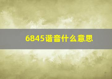 6845谐音什么意思