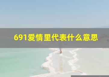 691爱情里代表什么意思