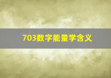 703数字能量学含义