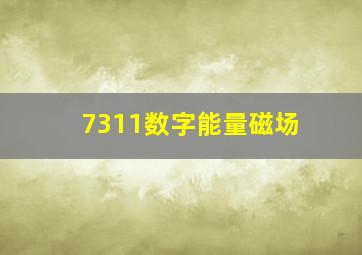 7311数字能量磁场