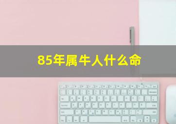 85年属牛人什么命