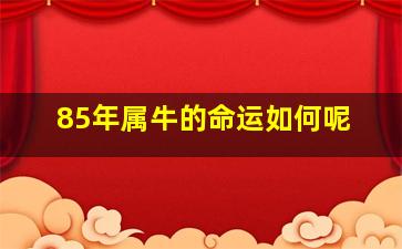 85年属牛的命运如何呢