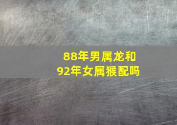 88年男属龙和92年女属猴配吗