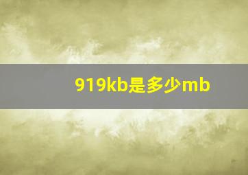 919kb是多少mb