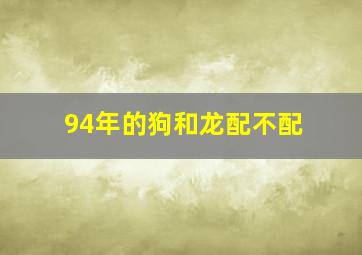 94年的狗和龙配不配