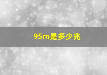 95m是多少兆