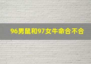 96男鼠和97女牛命合不合