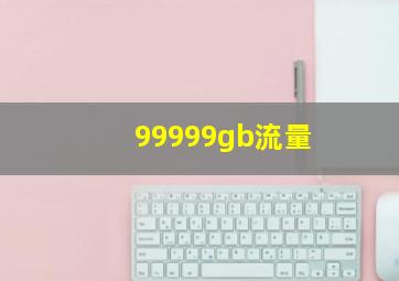 99999gb流量