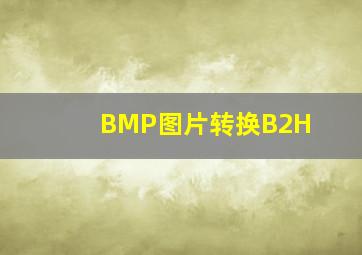 BMP图片转换B2H