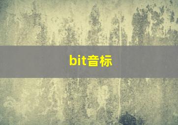 bit音标