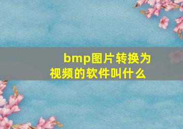 bmp图片转换为视频的软件叫什么