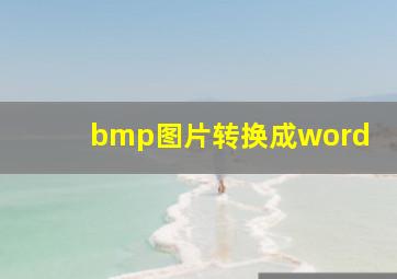 bmp图片转换成word