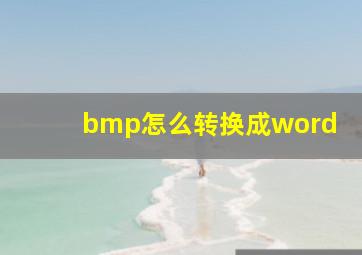 bmp怎么转换成word