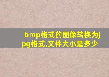 bmp格式的图像转换为jpg格式,文件大小是多少