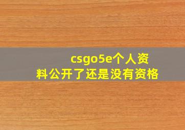 csgo5e个人资料公开了还是没有资格