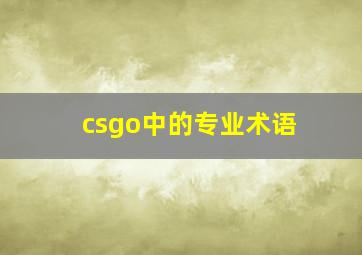 csgo中的专业术语