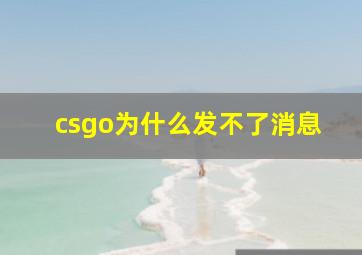 csgo为什么发不了消息