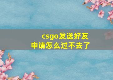 csgo发送好友申请怎么过不去了