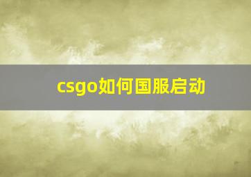 csgo如何国服启动