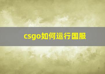 csgo如何运行国服