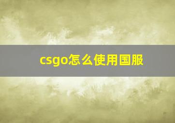 csgo怎么使用国服