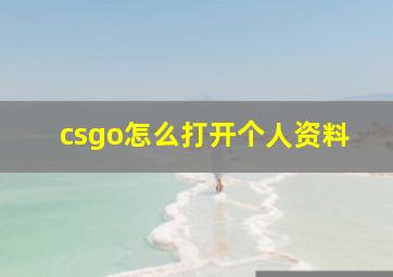 csgo怎么打开个人资料