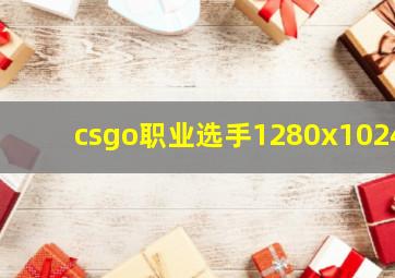 csgo职业选手1280x1024