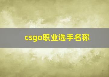 csgo职业选手名称